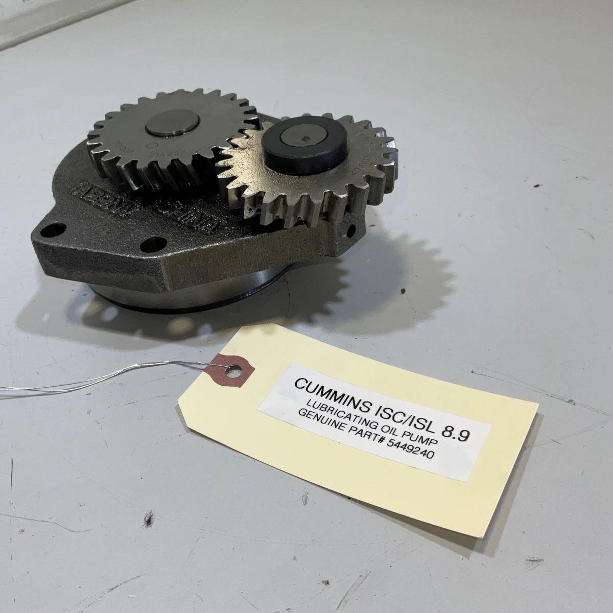 グロデベポリゴンヘッドスィッシャー