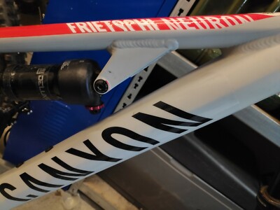 Custom Canyon Strive, Nerve, Torque, Spectral, Namensschriftzüge personalisiert