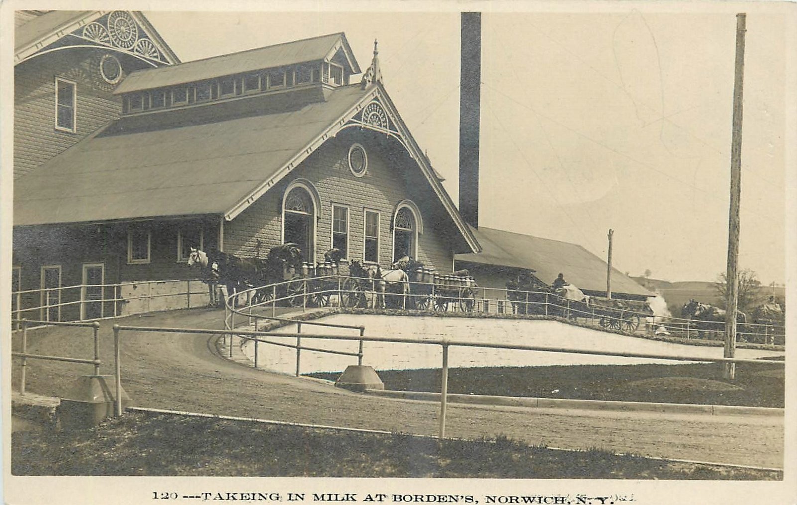 c1910 Norwich New York Taking Milk Borden's horse carriage RPPC Postcard 25-6496