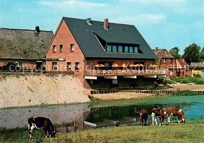 Oelixdorf Hotel Auerhahn Cafe Restaurant Cattle Pasture Kitchen