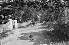 Sea Road Rosslare Co Wexford  Ireland c1900 OLD PHOTO