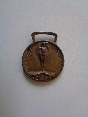Médaille Commémorative Autriche-Hongrie Grande Guerre (WW1) - Exemplaire D'occasion