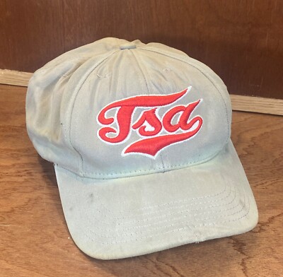 VINTAGE TSA Brand Skateboarding Hat Grey Red Mens XS Chad Muska 2000 Y2K Flexfit