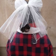 Solid color lace veil women's veil hairpin veil