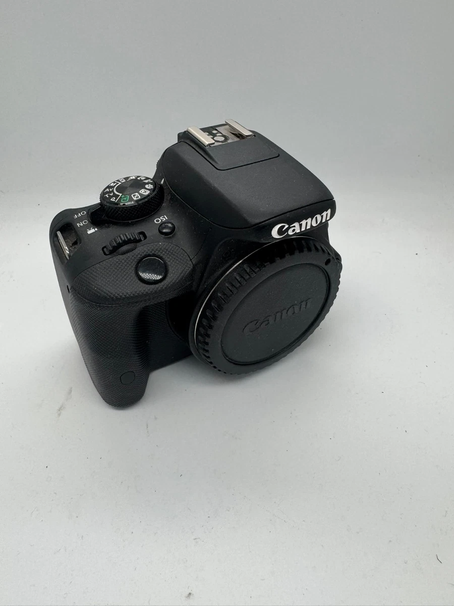 Canon EOS-1 訳あり Yahoo!オークション -「canon eos-1」の落札相場