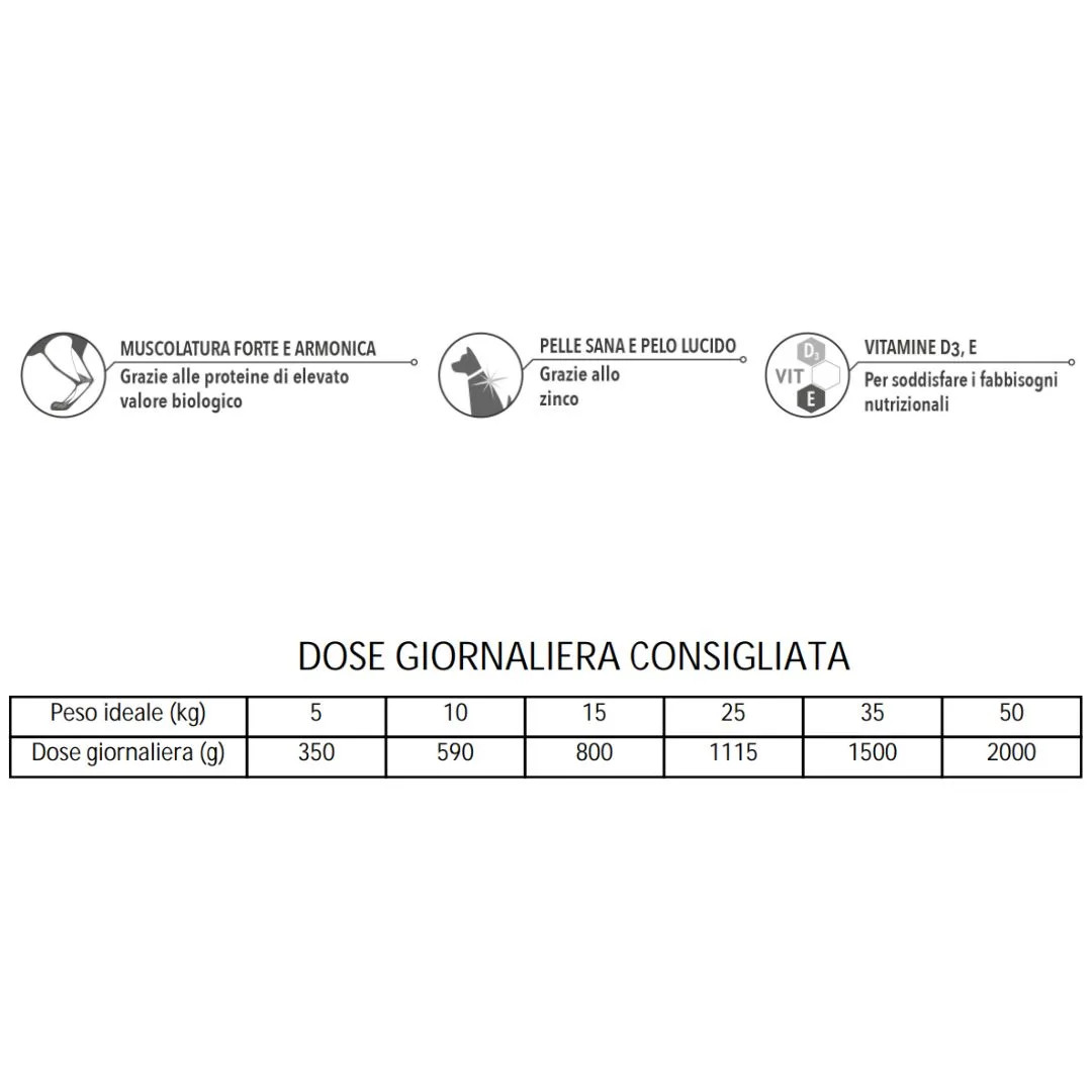 Morando Professional Cane Agnello Riso 12x1250g | Umido Alta Qualità - 3