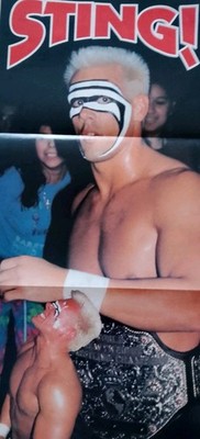 WCW Sting 21x63cm Poster WWE WCW ECW