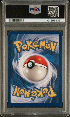 Dewgong 025/102 1st Edition - Base Set (Shadowless) PSA 6 - 第 2/2 張圖片