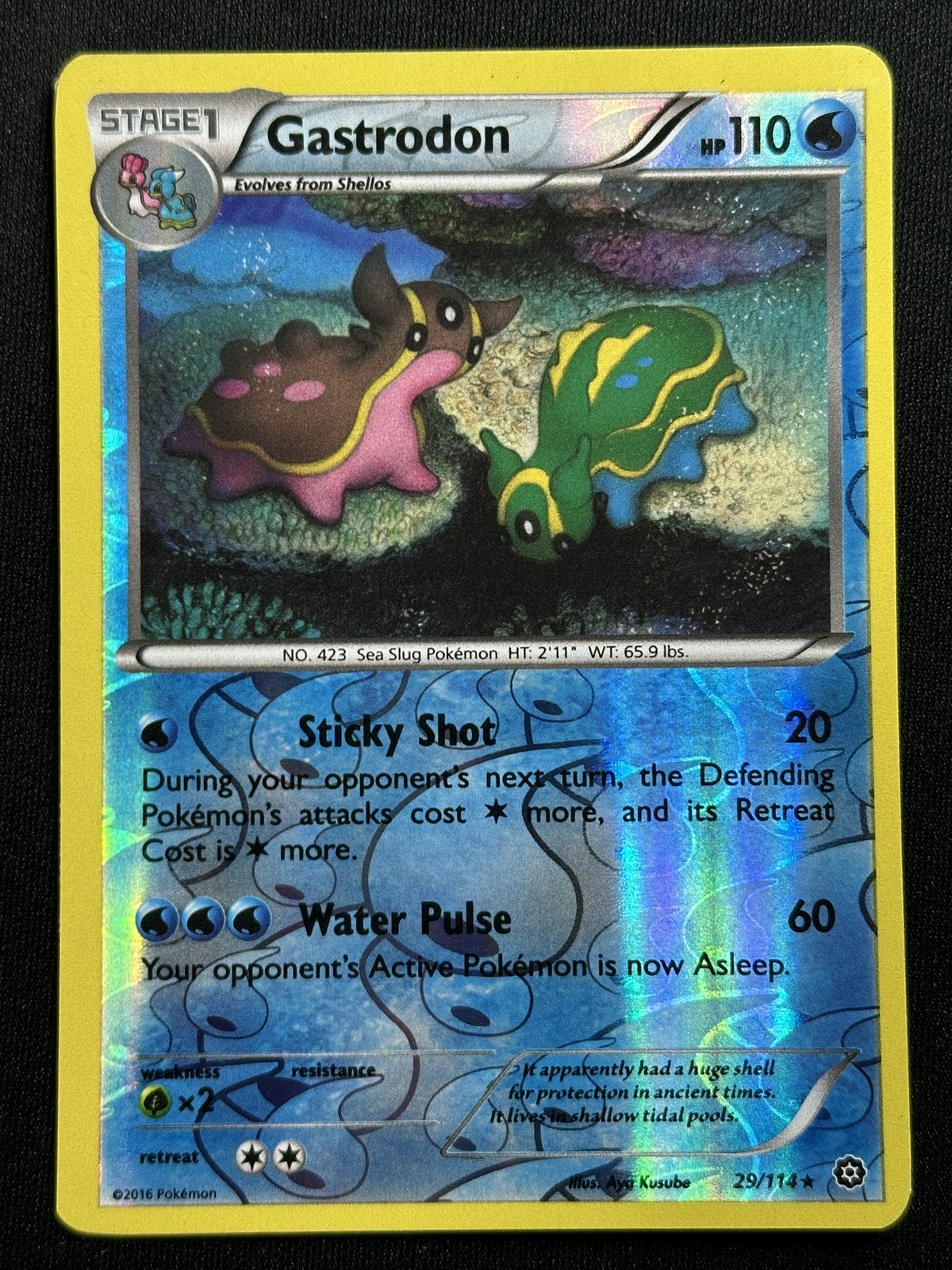 Gastrodon Reverse Holo XY - Steam Siege 29/114 LP