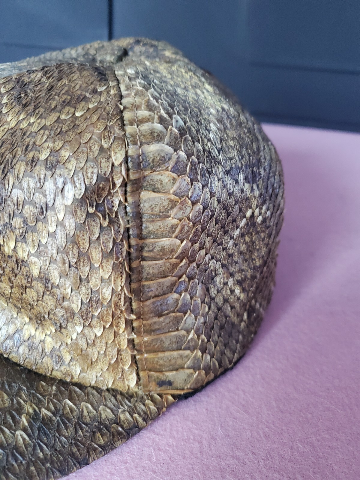 PR2 Vintage Genuine snakeskin Python Leather Truc… - image 3