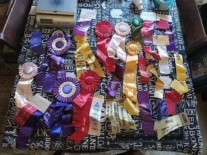 Mary & Tom Devereux Dollhouse Miniatures Awards Ribbons Archive Lot Bulk Dolls