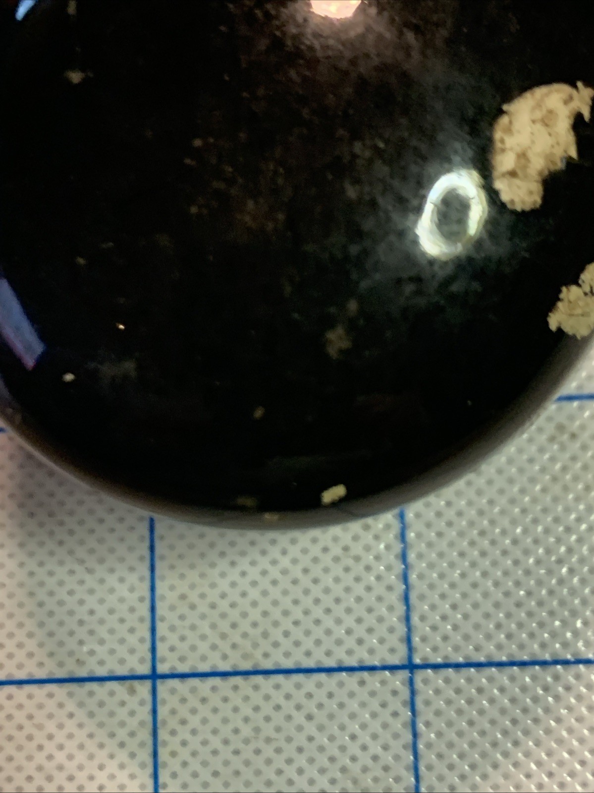 Picture 8 of 24