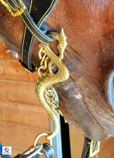 Fancy Dragon Shank Horse Bit | Brass Curb Bit | Historical Dressage Western Tack
