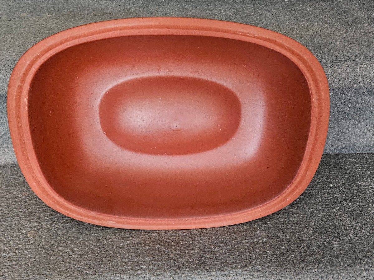Lagostina 4 Quart Clay Roaster Non-Stick Glazed Base with Lid | eBay
