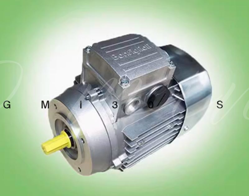 1x Three-phase asynchronous AC motor BN90S4
