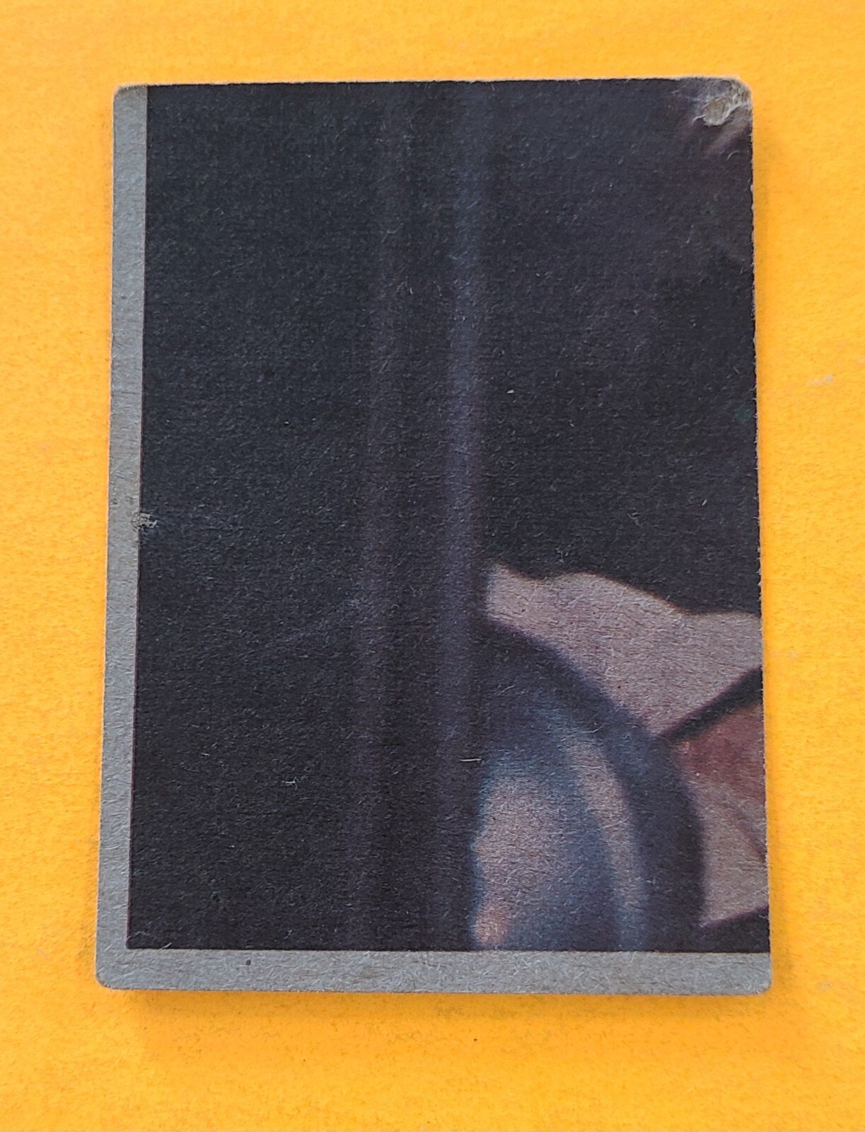 Picture 203 of 239