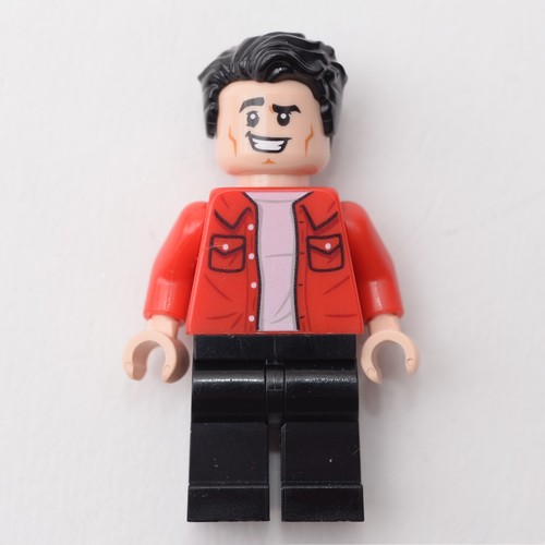Lego Friends TV Series Minifigures Rachel Monica Phoebe Joey Chandler Ross 21319 - Picture 7 of 9