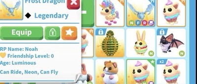 Neon Fly Ride Full Brown Frost Dragon Adopt Me