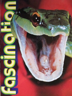 Fascination Schlangen und Echsen F.Kundert Verlag