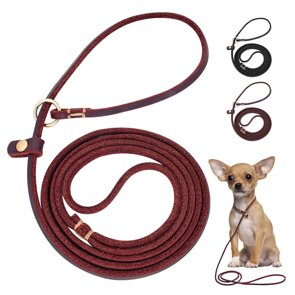 Dog lead best sale with loops