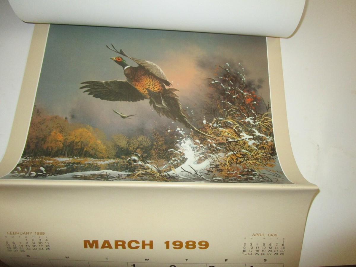 1989 / Wall Calendar unused Nature Palette by Ted Blaylock 14" BY 11" T26 |  eBay