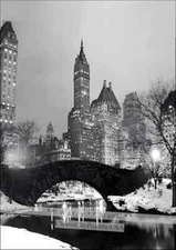 New York Central Park B&W Photo Vintage Poster Print Retro Style Wall Art