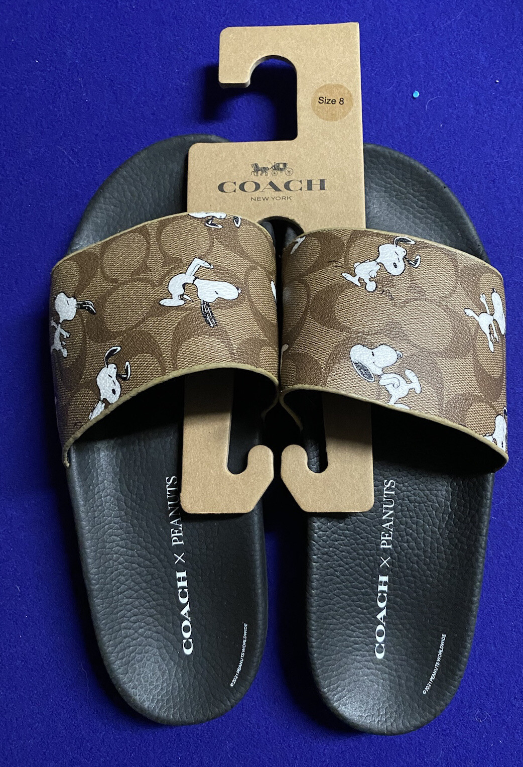 coach peanuts slides