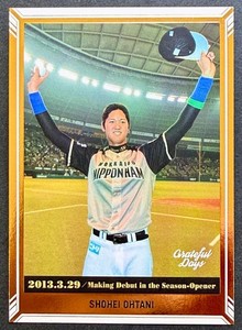 Ohtani Fighters | eBay