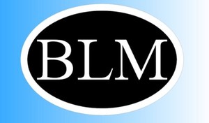 Download Black Lives Matter BLM Oval Window Sticker Decal | eBay