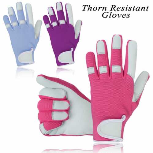 Ladies Leather Gardening Gloves Thorn Resistant Proof Garden work gloves Summer - Picture 1 of 7