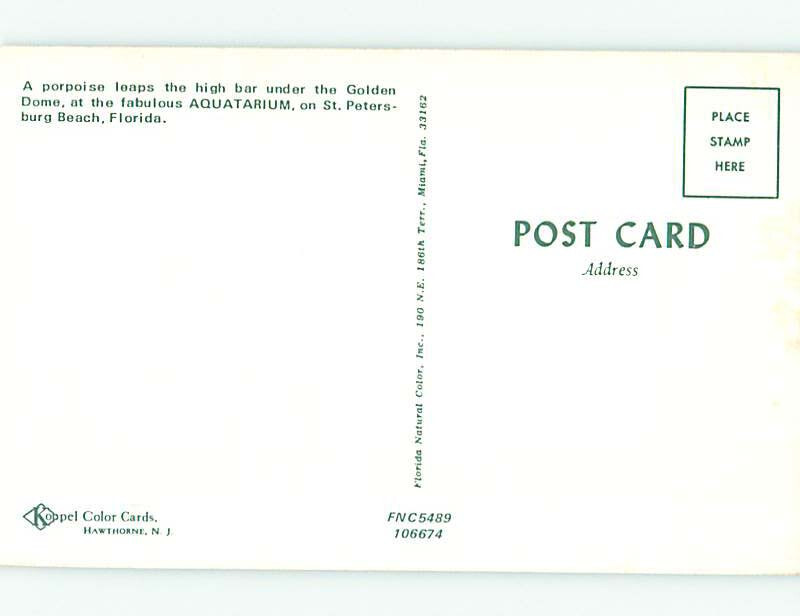 Pre1980 AQUARIUM TOURIST ATTRACTION St. Petersburg Florida FL 10/19