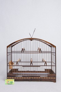 Détails Sur Cage Oiseaux De Bois Coleiro Coleirinha