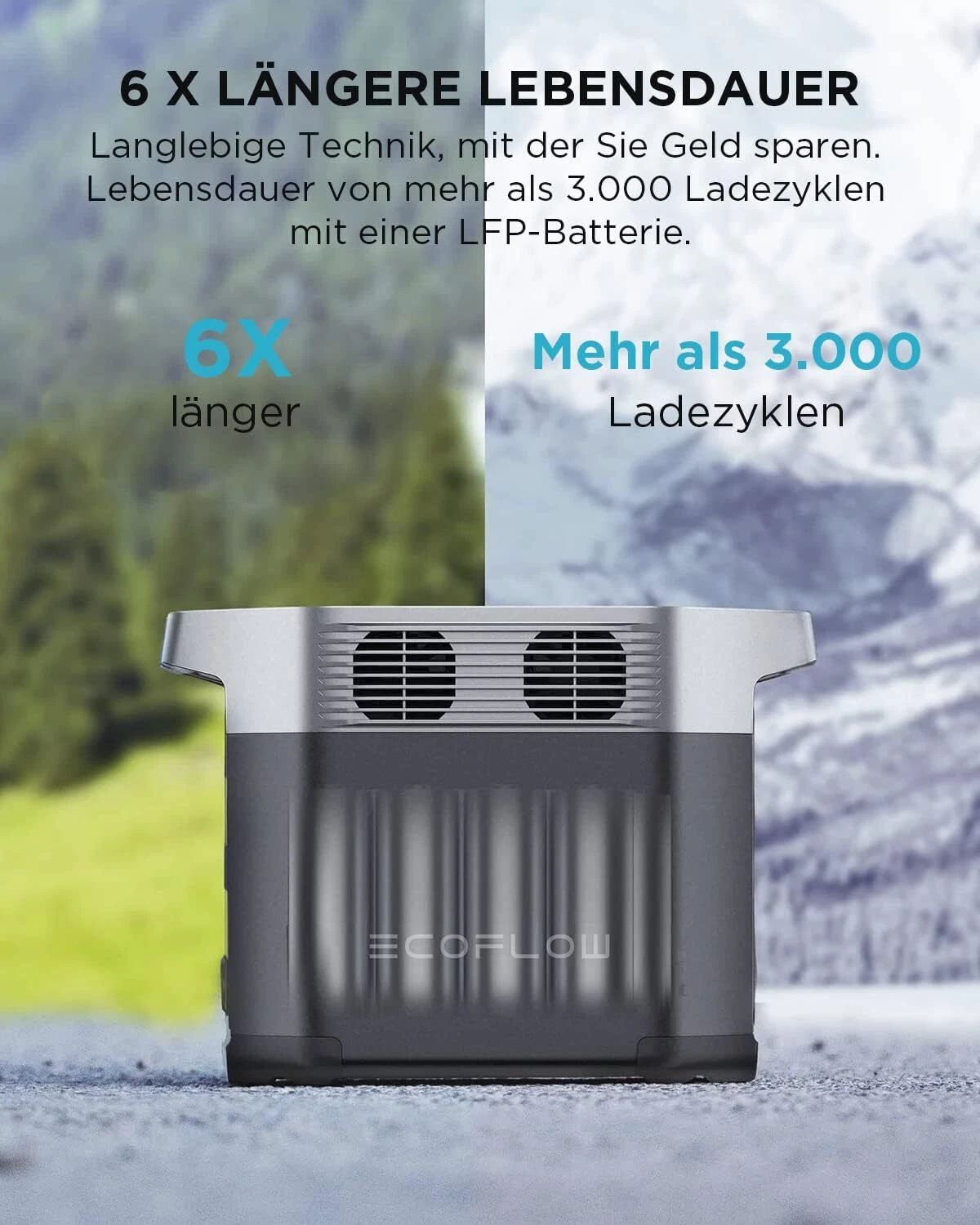 Bild 12 von 15