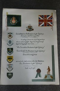 infantry rhodesian