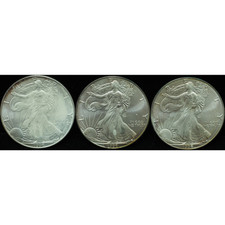 1996 American Eagle Silver Dollar Various Toning *JE