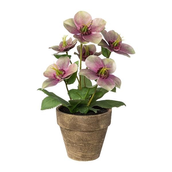 artplants Kunstblume Christrose Illume, Kunsttopf, Lila-GrüN, 30Cm-image