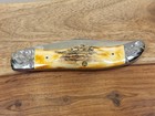 1976 CASE XX (5165) GORGEOUS STAG "AMERICAN SPIRIT" FOLDING HUNTER KNIFE- MINTY — photo 7