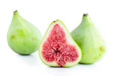 100+ Adriatic (Lattarula) Fig Seeds for Garden Planting - USA - FREE SHIPPING!