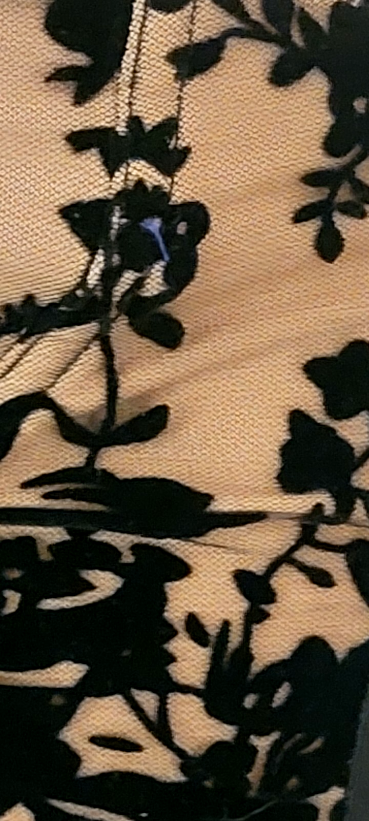 Picture 3 of 14