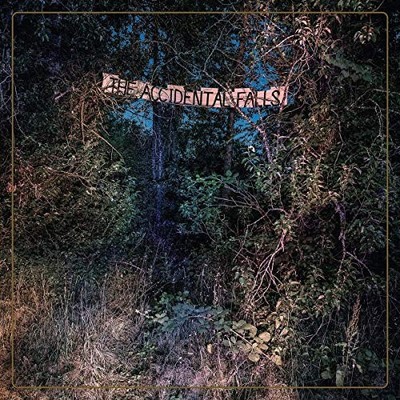 The Accidental Falls by The Eyelids [Audio CD]