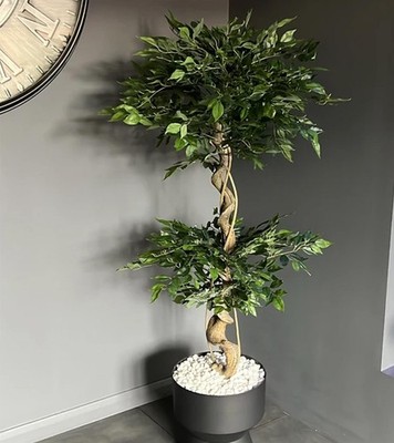 Künstlicher Ficusbaum realistisch groß schwarz 150cm (5ft) Premium Indoor Home