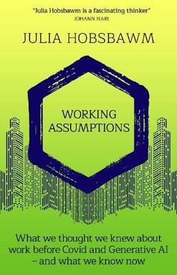 Julia Hobsbawm Working Assumptions (Paperback)