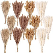 300 PCS Dried Flower Bouquet   Pampas Grass, Floral Decor 300PCS, Brown,white