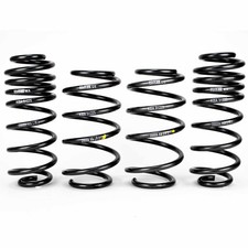 H&R 40mm Tieferlegungsfedern für VW Golf 6 Jetta IV bis Achslast vorne 980 kg