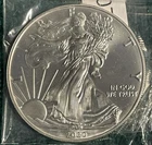 2020 American Silver Eagle