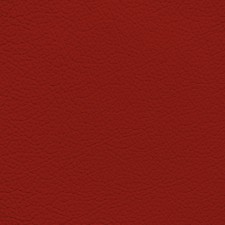 Audi Magma Red Leather Dye