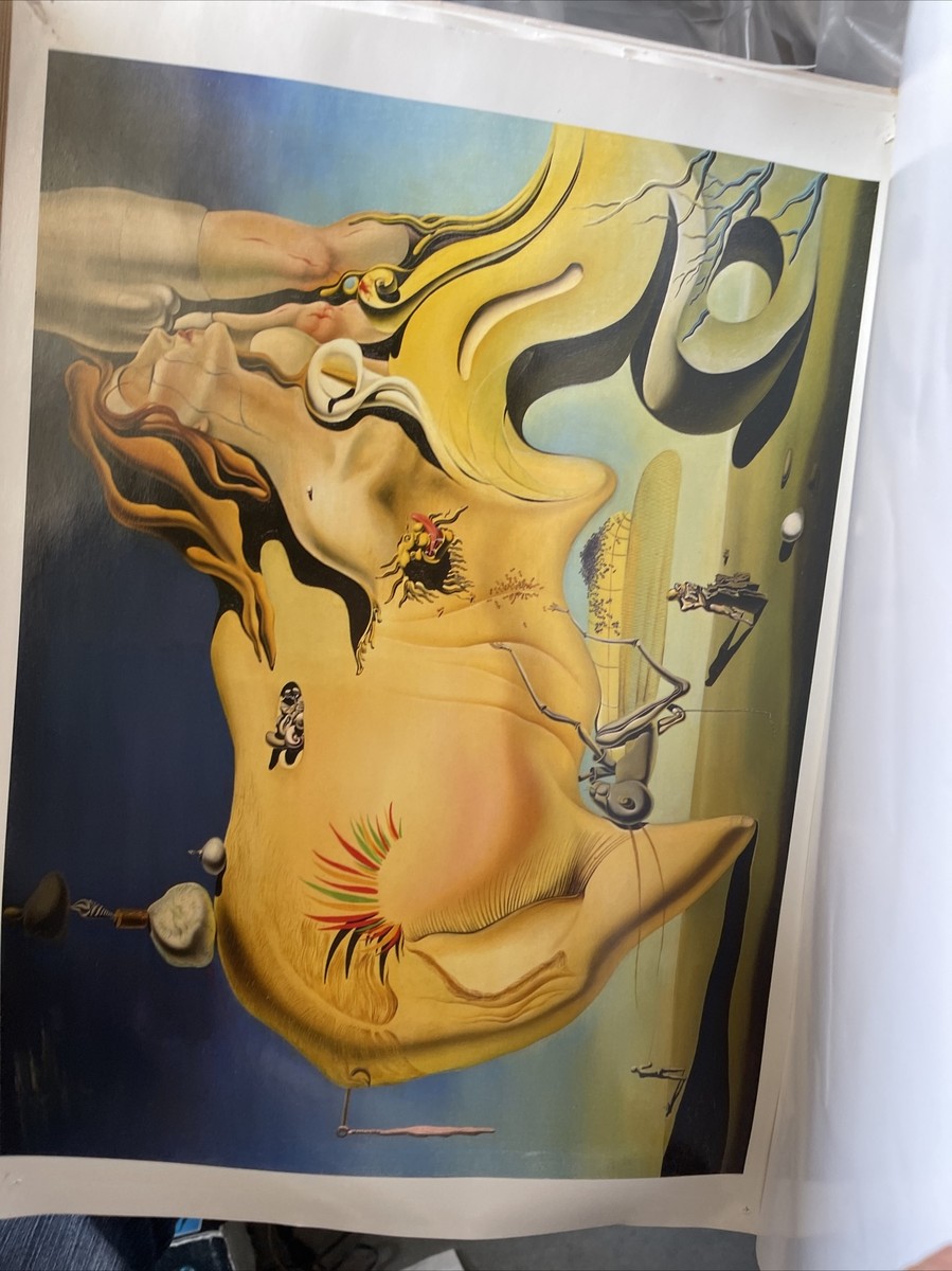 DALI POSTER BOOK 6 Posters (POSTERBOOK SER.)) By Taschen Shows