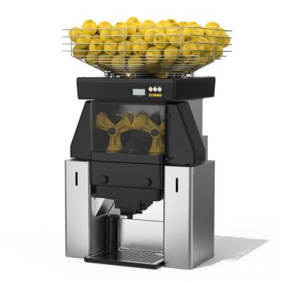 CMZ ZPRO 痩身マシン s-l400.jpg