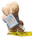 Bild 15 von 16