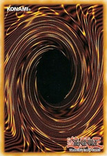 Additional Shipping Costs